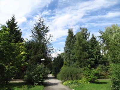 Arboretum Greifswald