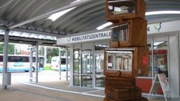 Greifswalder Bücherbaum