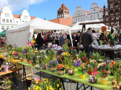 Oster- und Blumenmarkt Greifswald