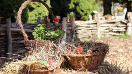 Osterfest im Greifswalder Tierpark
